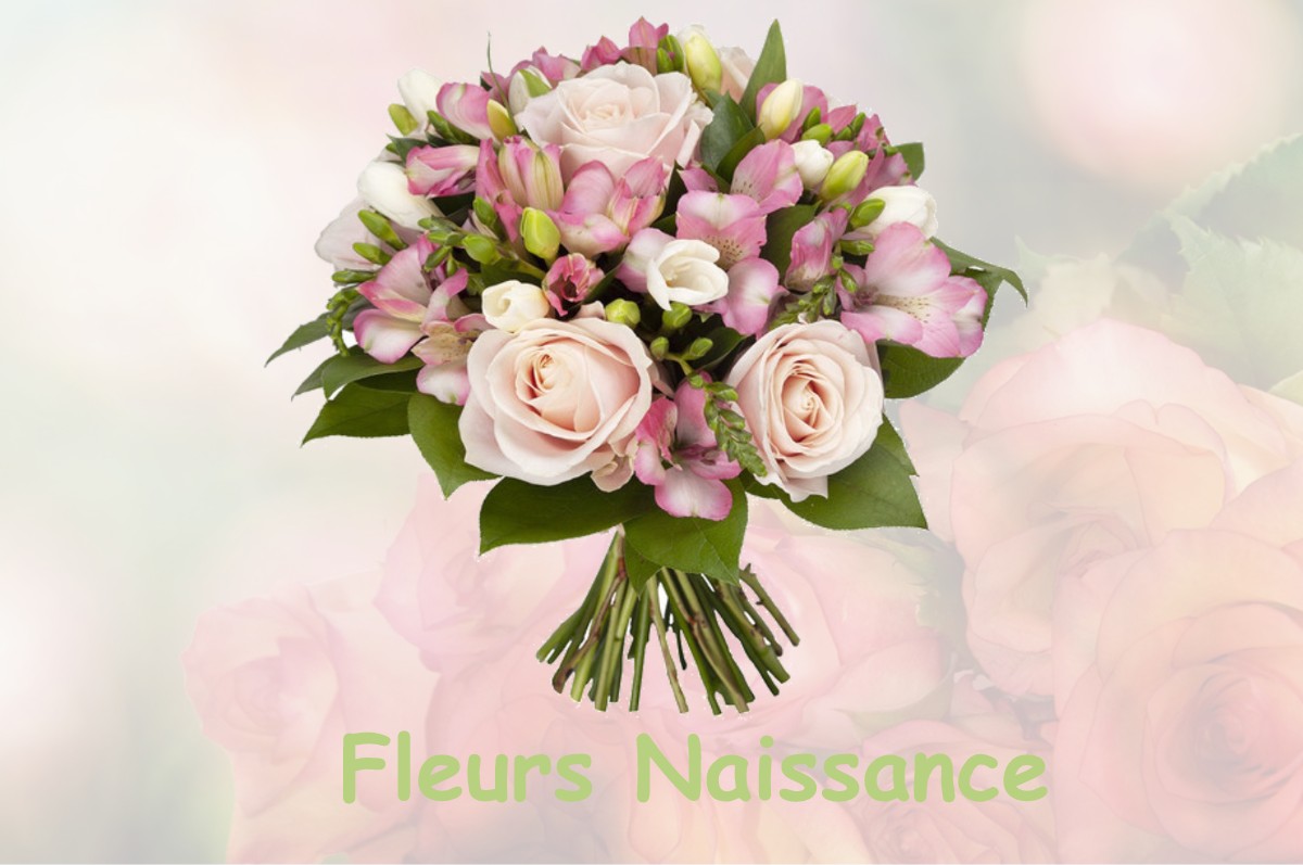 fleurs naissance SAINT-HILAIRE-DU-ROSIER