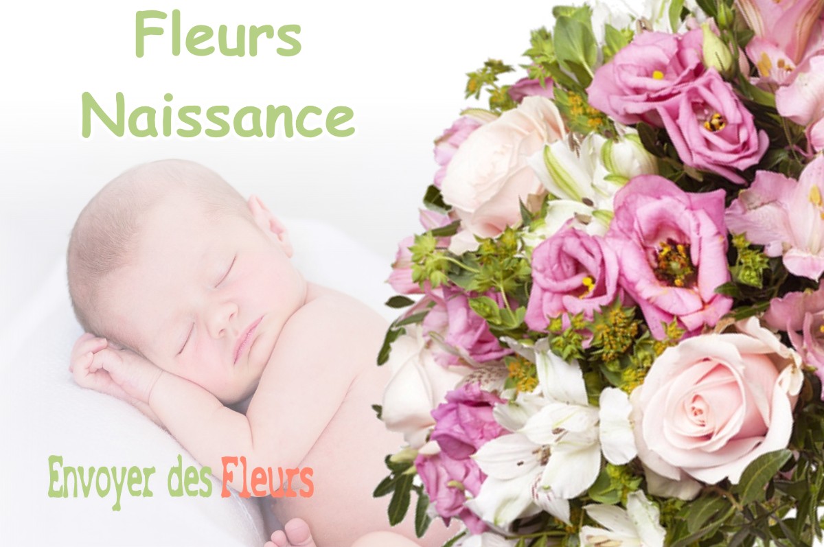 lIVRAISON FLEURS NAISSANCE à SAINT-HILAIRE-DU-ROSIER